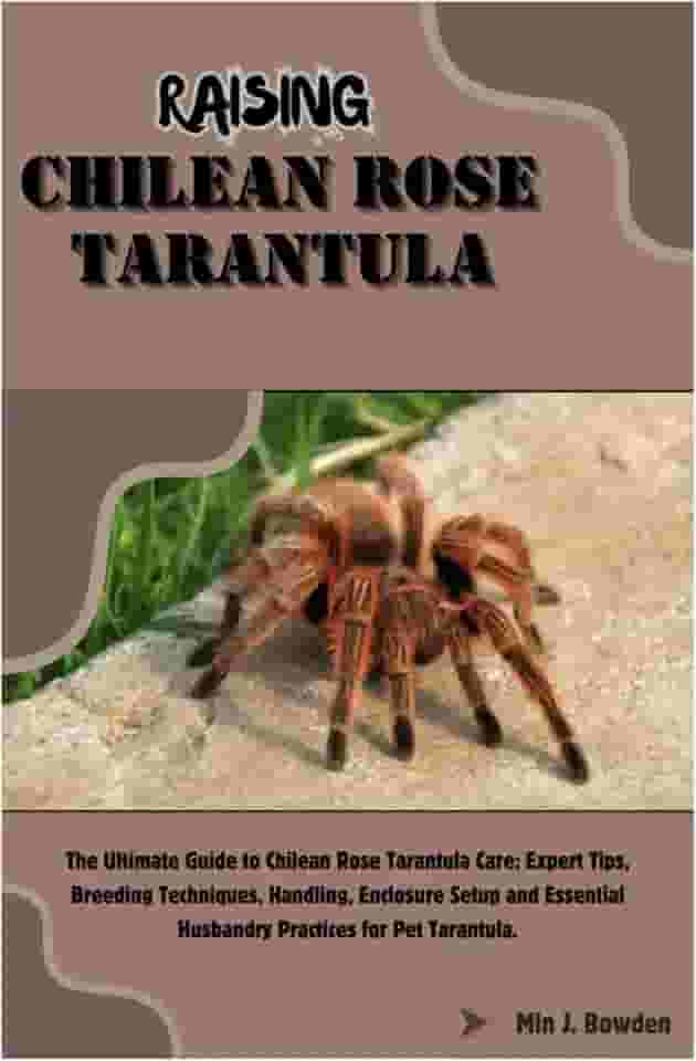 Raising Chilean Rose Tarantula: The Ultimate Guide to Chilean Rose Tarantula Care: Expert Tips, Breeding Techniques, Handling, Enclosure Setup and Essential Husbandry Practices for Pet Tarantula.