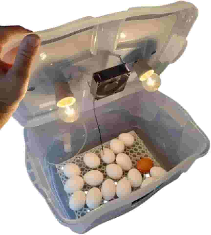 Chocadeira Pet Compacta Com Ovoscopio 2 Lâmpadas Cooler Para 30 Ovos De Galinha Ou 90 De Codorna