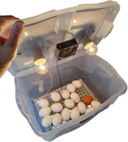 Chocadeira Compacta Com Controle De Temperatura automático capacidade para 30 Ovos de Galinha ou 90 ovos de codorna