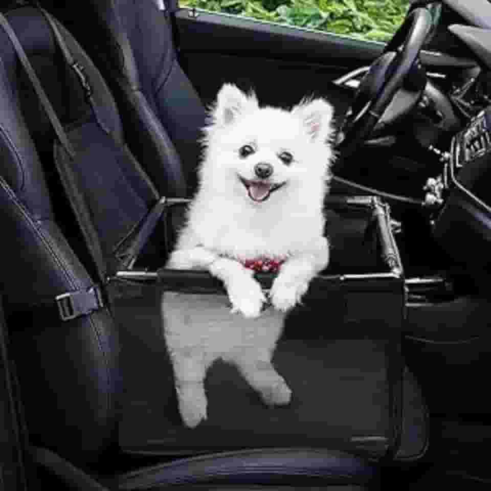 Cadeirinha De Cachorro Gato Para Carro Capa Protetora Assento Banco Traseiro Carro (PREMIUM)- CINZA TUBLINE