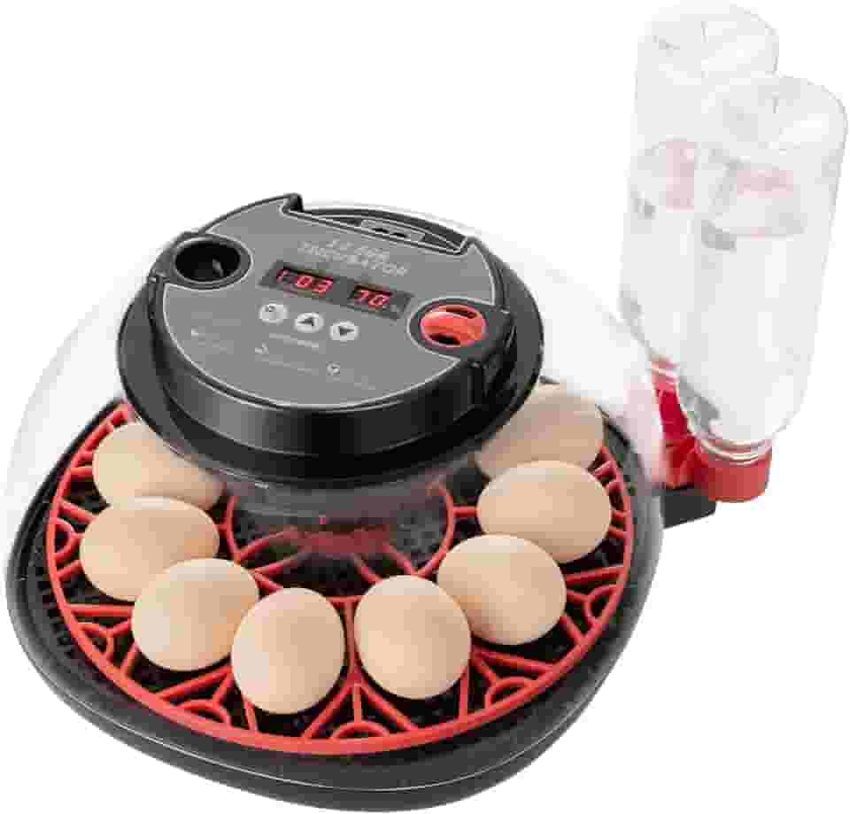 Incubadoras para ovos para incubação, incubadora de 12 ovos com rotação automática de ovos e controle de umidade, recarga de água, saída de ar, visualização de 360° para galinhas, patos, pássaros