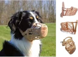 Focinheiras reforçadas para Cachorros American Pets - N 4