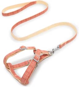 Coleira para cães com amortecedor de choque macia de dois tons