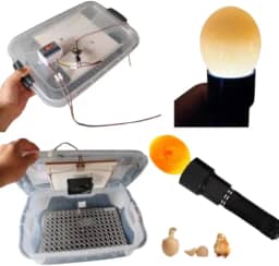 Chocadeira Pet 220 ou 120 Volts Com Ovoscopio Cooler Para 30 Ovos De Galinha Ou 90 De Codorna