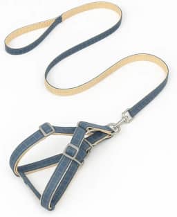 Coleira para cães com amortecedor de choque macia de dois tons