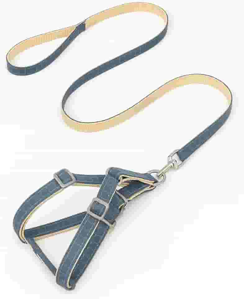 Coleira para cães com amortecedor de choque macia de dois tons