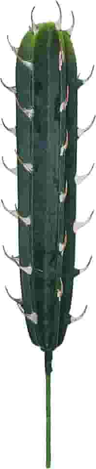 Chalé Kalé Cactos Stenocereus Artificial , , Verde