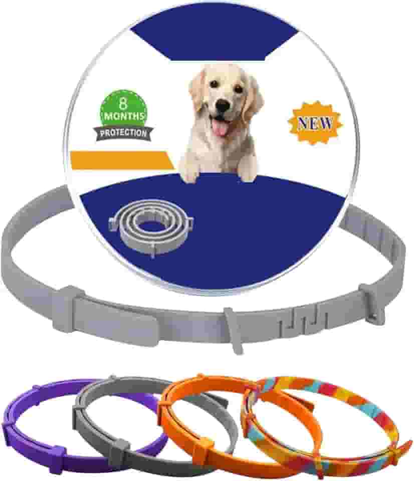 Coleira Anti Pulgas e Carrapatos Para Cães e Gatos | À Prova D’Água, 8 Meses de Proteção, Não Alérgica, Silicone Flexível, Resistente, Anti Piolhos e Mosquitos (Gato (Pequena))