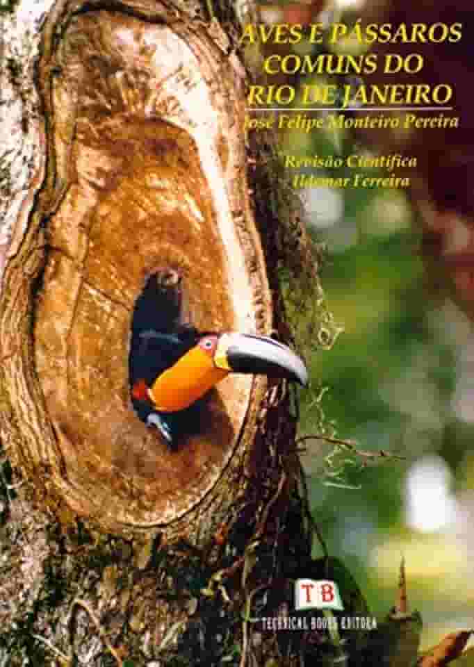 Aves E Pássaros Comuns Do Rio De Janeiro