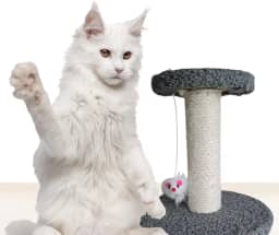 Arranhador Para Gato Poste Sisal Com Brinquedo Duplo Mini De Mesa Nicho (CINZA)