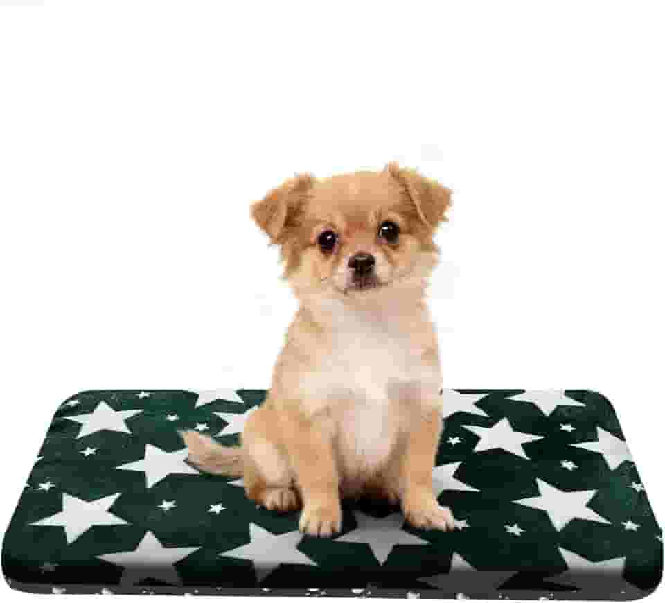 Cama de cachorro lavável ortopédica para uso ao ar livre com fundo antiderrapante, almofada macia de luxo para animais de estimação, almofada aconchegante para gaiola e colchão de dormir para