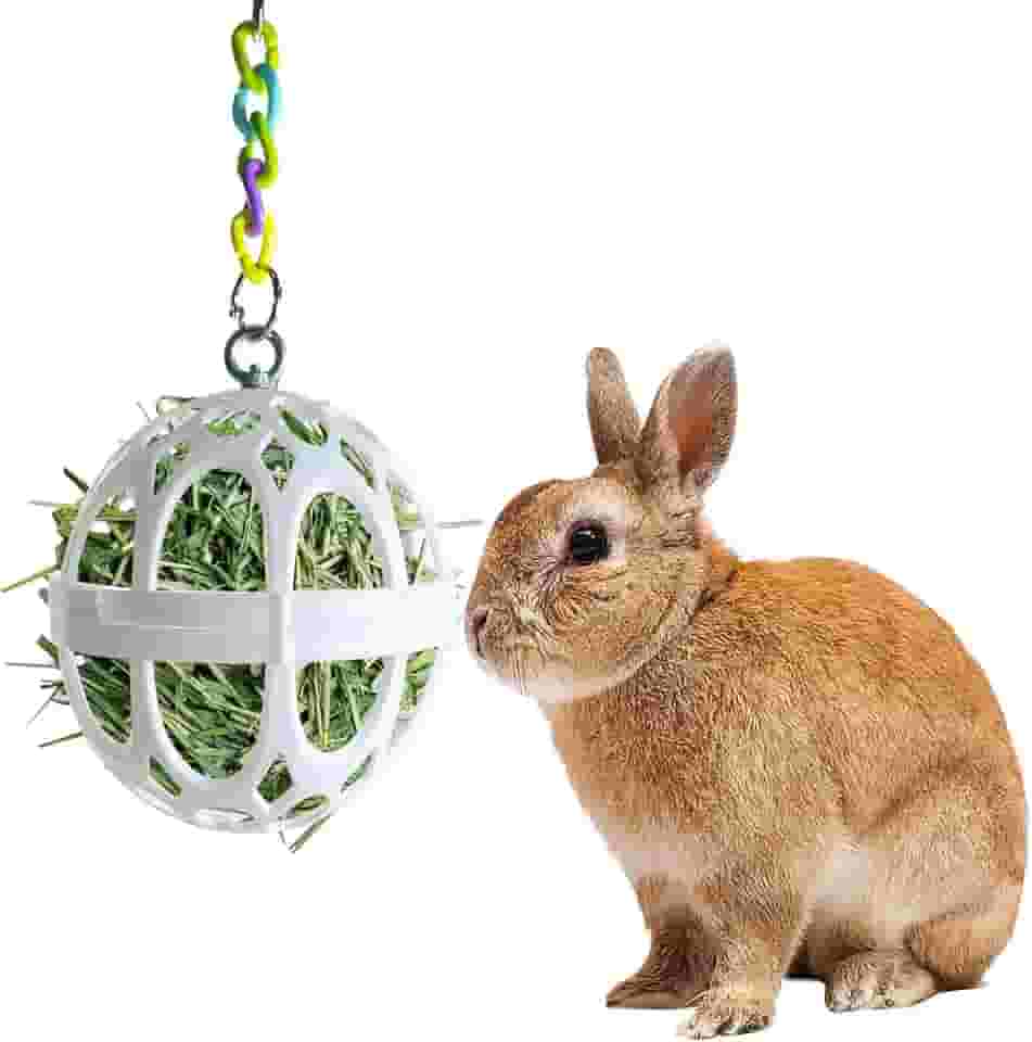 Tfwadmx Alimentador de feno de coelho, brinquedo de mastigar bola de feno de plástico para alimentos e grama, dispensador de manjedoura de feno para animais pequenos com corrente para hamsters,