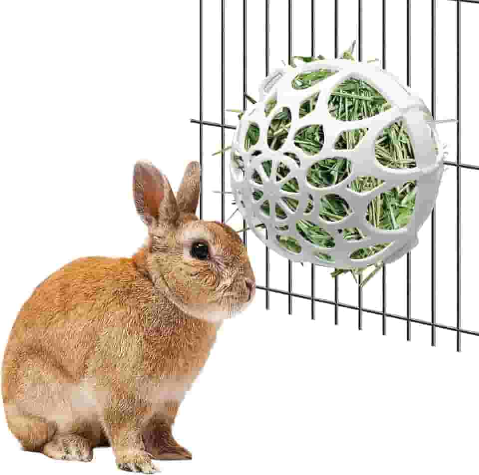 Tfwadmx Alimentador de feno de coelho, brinquedo de mastigar bola de feno de plástico para alimentos e grama, dispensador de manjedoura de feno para animais pequenos com parafusos para hamsters,