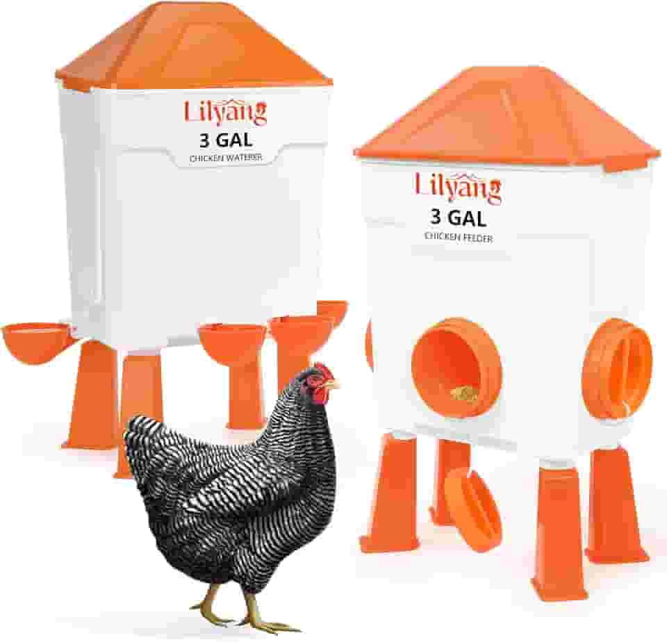 Lilyang Conjunto de comedouro e bebedouro de galinha XL, alimentador automático sem desperdício, grande bebedouro para aves com copos de 6 cm, uso em pé ou suspenso, alimente galinhas e patos