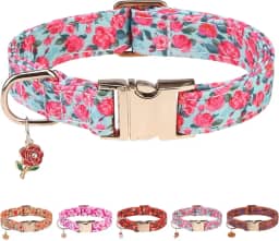 PAWCHIE Coleira para cachorro com fivela de metal, azul P