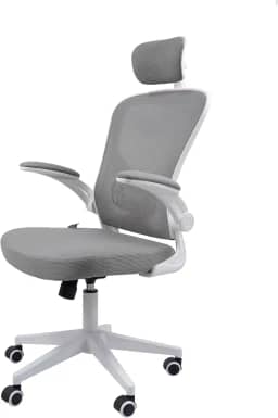 Cadeira Ergonômica Eurynom, Giratória, para Escritório e Home Office, com Encosto Reclinável, Braços Pivotantes, Apoio de Cabeça, Apoio Lombar (Cinza)