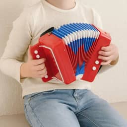 SANFONA INFANTIL MINI ESTILO PROFISSIONAL VERMELHO