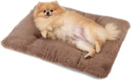 YYW Cama térmica para gatos, cama térmica para animais de estimação com cochilo macio e parte inferior antiderrapante, almofada de aquecimento aconchegante para cães pequenos e médios, gatos, gatinhos