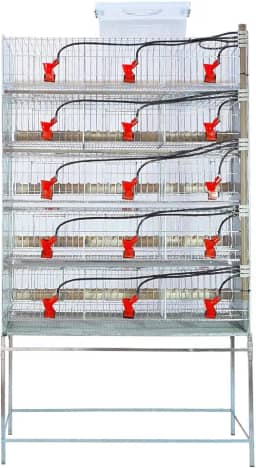 5 Gaiola para codorna ou codornão bebedouro automático copinho - Gaia