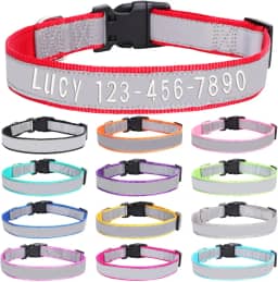 Coleira de cachorro bordada personalizada com nome e número de telefone do animal de estimação, coleiras de tamanhos ajustáveis personalizadas com fivela de liberação rápida e anel em D para cães