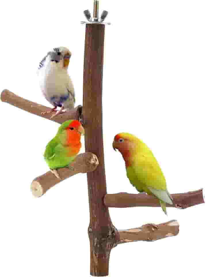 Brinquedo de suporte de poleiro de pássaro, madeira natural de videira, poleiro de papagaio, gaiola de pássaros, acessórios de galhos para periquitos, calopsitas, conures, araras, te