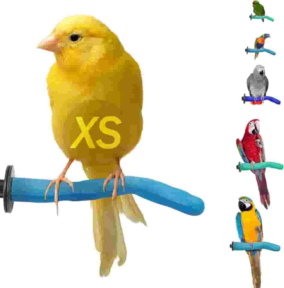 Poleiro para pássaros Sweet Feet & Beak Safety, pedra-pomes, extrapequeno, 1/2' x 6', azul - Poleiros leves para pássaros para gaiola - Poleiro para aparar unhas de pássaros para bico e pés saudávei