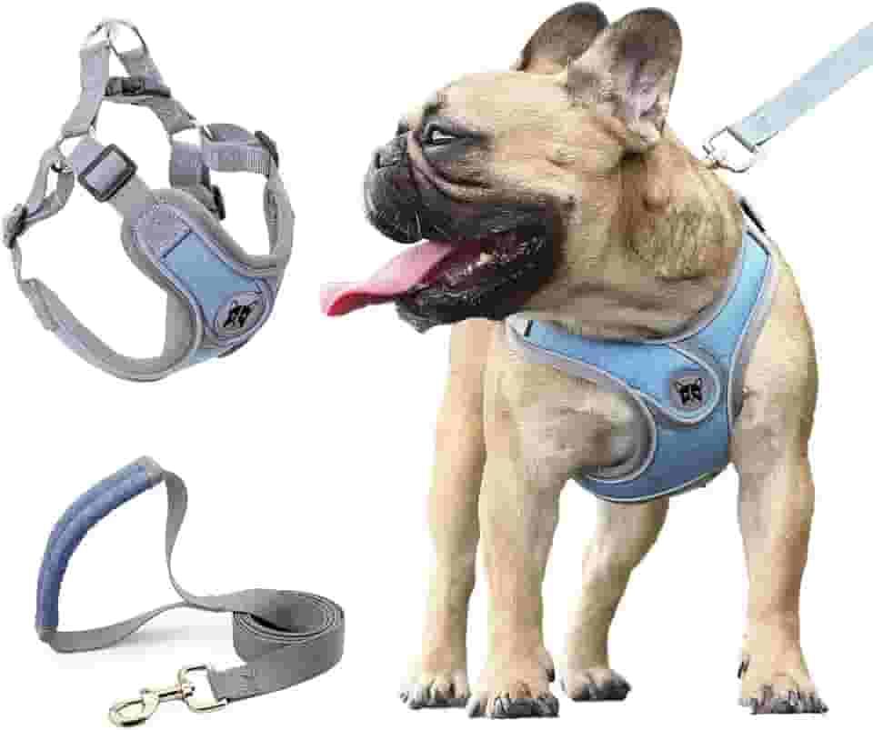 Coleira Peitoral para Cachorros, Peitoral para Cachorros Pequenos, Coleiras Ajustáveis, Peitorais e Guias para Cães, para Treinamento e Corrida, Cães Pequenos, Médios e Grandes (G)