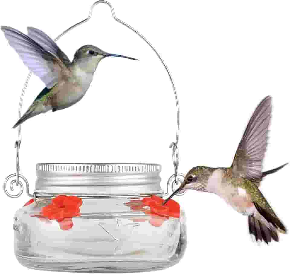 Nature's Way Bird Products MJF1 Nature's Way Mason Jar Beija-flor Alimentador de pratos, transparente, 10 cm de diâmetro.