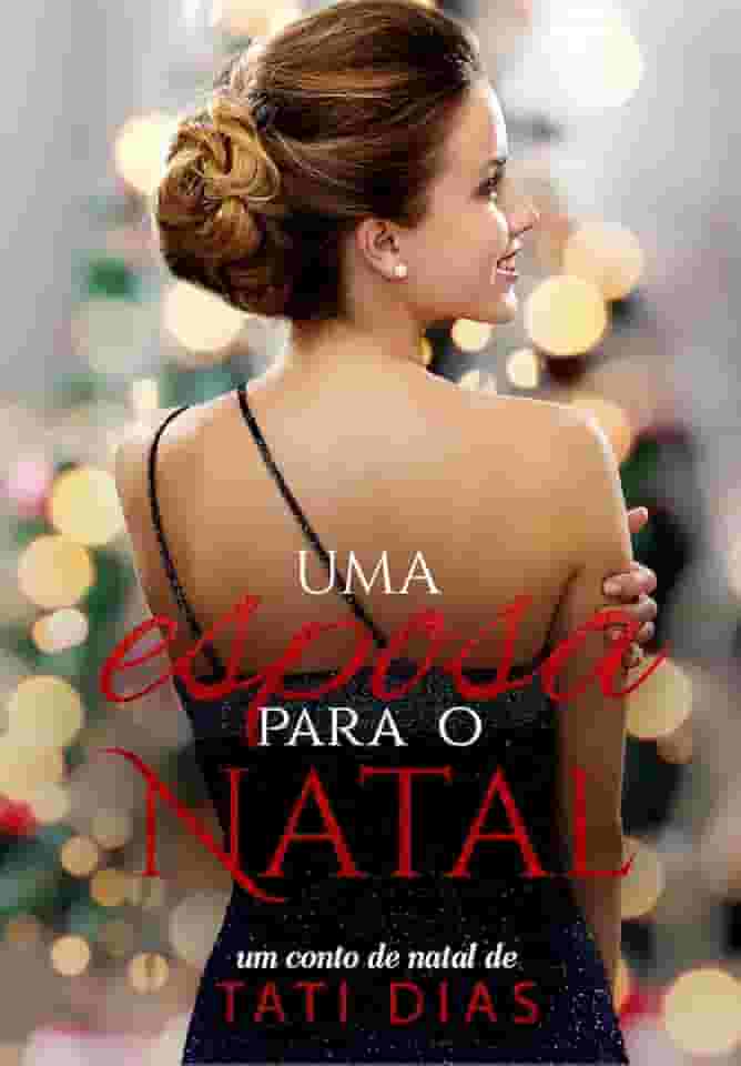 Uma esposa para o Natal: Conto de Natal