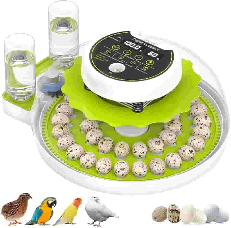 Incubadora de ovos de codorna para incubação com rotação automática de ovos e controle de umidade, 40 ovos de grande capacidade, chocadeira de codorna, também para papagaio, pomba, canário e outras