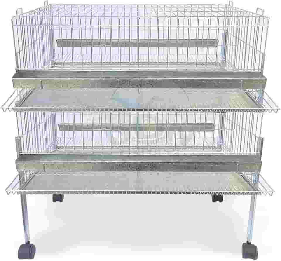 Kit 2 Gaiola Codorna Gigante Postura Viveiro Bandeja 40 Aves Poedeira Bateria (COM BASE)