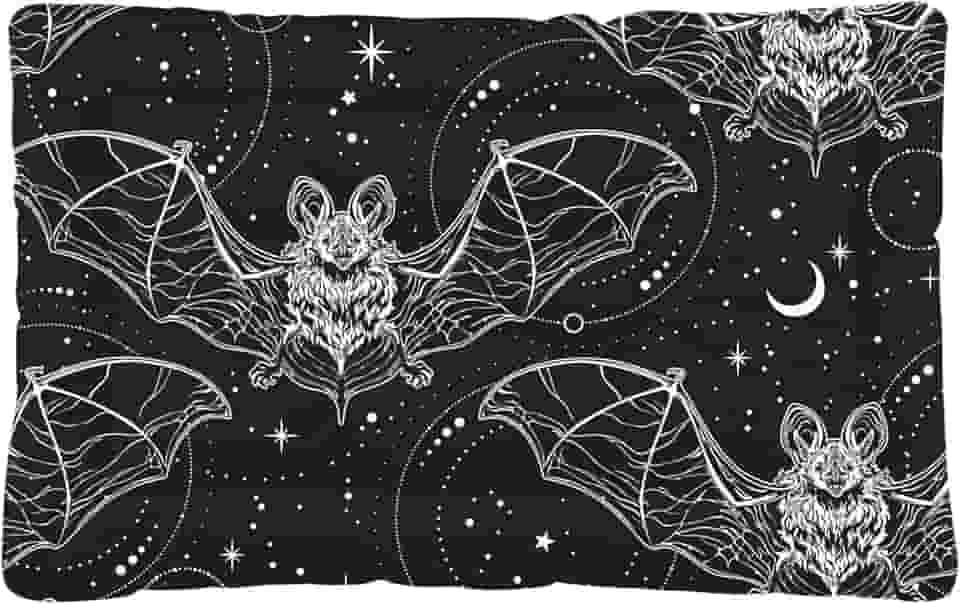 Almofada antiderrapante para cama de cachorro, ultramacia, lavável, acolchoamento ortopédico de 3 cm de espessura com fundo antiderrapante resistente para canis, carros, cães e gatos pequenos, tecido