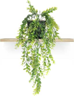 Planta Artificial Pendente com Vaso Preto Incluso (Arranjo Pronto) - Planta Artificial Caída para Prateleira (Oliveira)