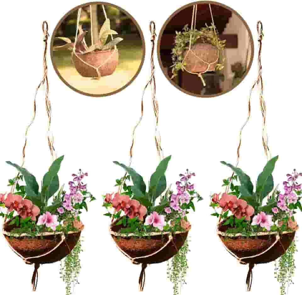 Kit 3 Vaso Suspenso de Fibra de Coco com Corrente de Sisal Cestindama - Coquim
