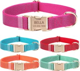 Coleira de cachorro personalizada com nome e número de telefone do animal de estimação, coleiras de tamanhos ajustáveis personalizadas com fivela de liberação rápida e anel em D para cães pequenos