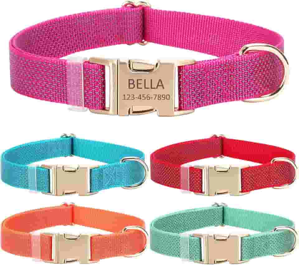 Coleira de cachorro personalizada com nome e número de telefone do animal de estimação, coleiras de tamanhos ajustáveis personalizadas com fivela de liberação rápida e anel em D para cães pequenos