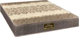 Colchão Espuma Orthopedic - Solteiro | Casal | Queen (Casal)
