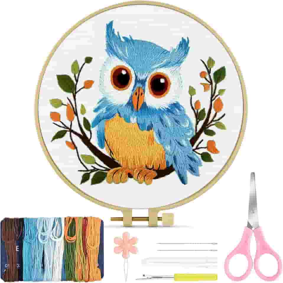 TINDTOP Kit de bordado para iniciantes e adultos, kit de bordado de coruja para iniciantes inclui argolas de pano de bordado para amantes de artesanato ponto à mão com técnicas de habilidade de