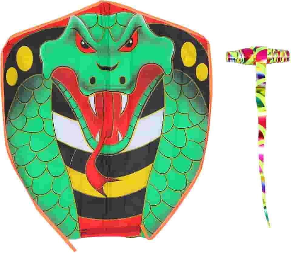 NUOBESTY Grande Cobra Pipa para Adultos Crianças Menino Grande Cobra De Energia Pipa Pipas Divertidas Ao Ar Livre Esportes para Crianças Dos Miúdos