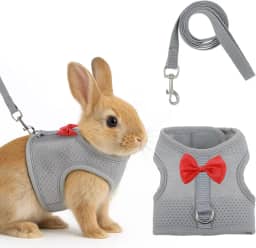 Conjunto de arnês e coleira de coelho com laço fofo, colete de malha macia para coelhos, colete ajustável para coelhos, acessórios para caminhadas de coelhos (cinza)