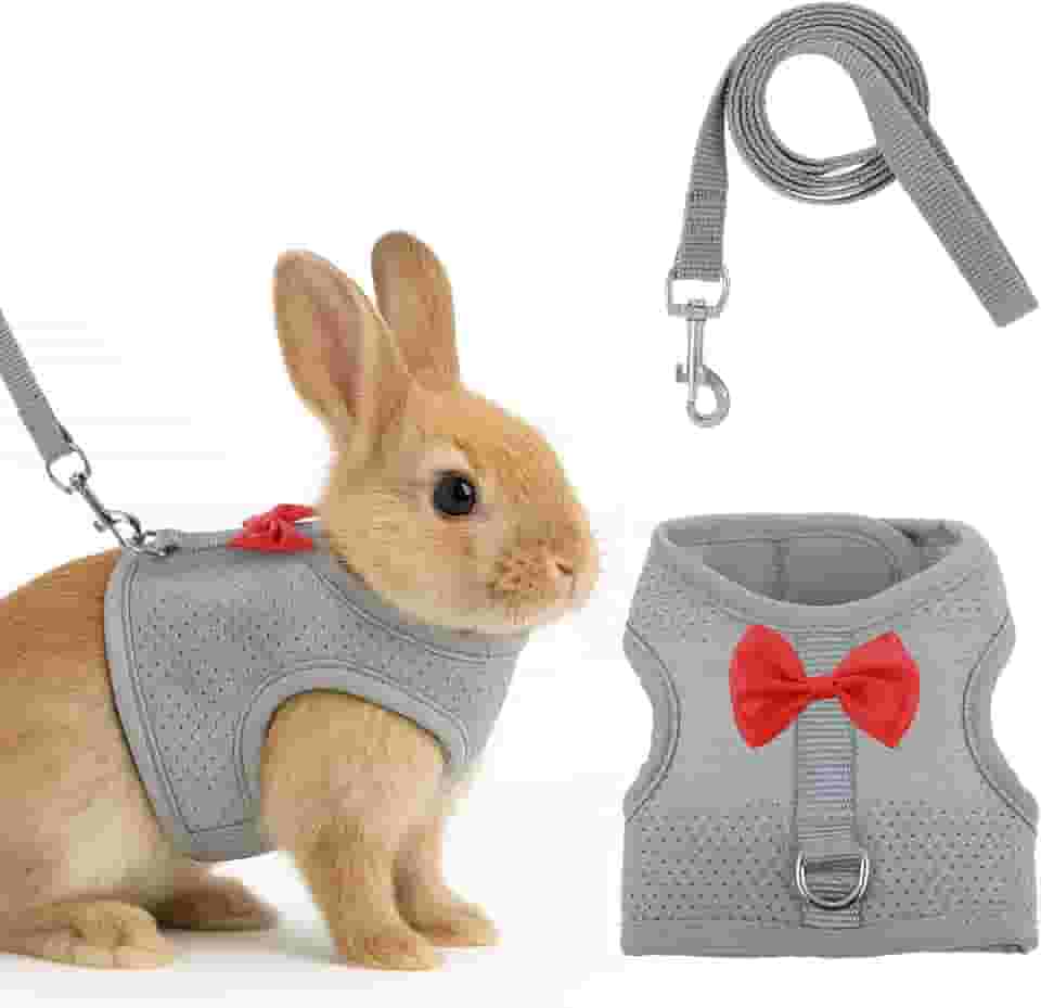 Conjunto de arnês e coleira de coelho com laço fofo, colete de malha macia para coelhos, colete ajustável para coelhos, acessórios para caminhadas de coelhos (cinza)