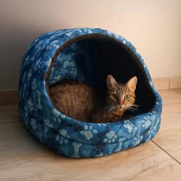Cama Gato Ninho Toca Iglu Esconderijo Caminha Pet - Lillos Pet (Azul)