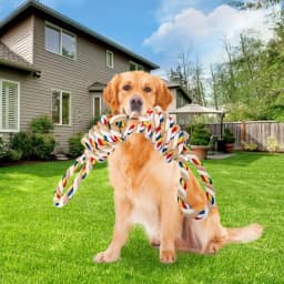 Brinquedos de corda para cães resistentes para mastigadores agressivos, brinquedos resistentes para cães grandes, médios e pequenos