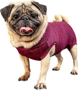 Roupa pós-cirúrgica para PUG fêmea - Tam 5 peso 11 a 15kg - Pet Designer
