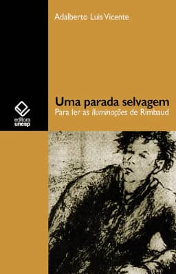 Uma parada selvagem: para ler as Iluminações de Rimbaud
